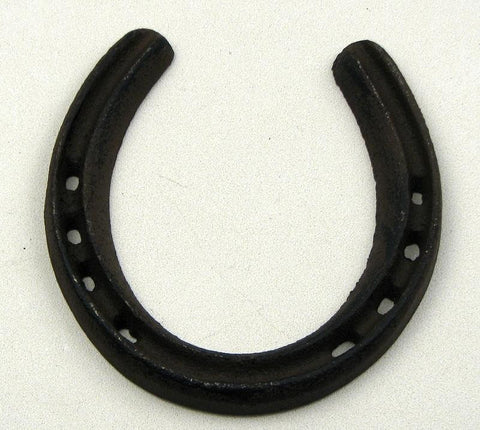 Medium Horse Shoe Set of 100