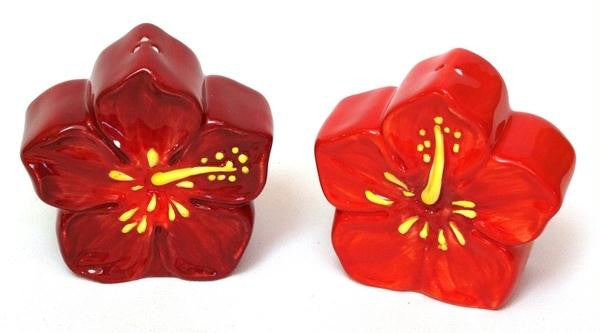 Hibiscus Salt & Pepper Set