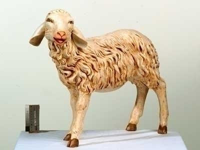 50" Standing Sheep W-Head