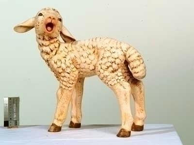 50" Sheep W-Head Turned